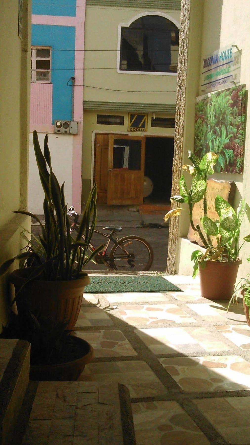Hostal Miconia Puerto Ayora  Εξωτερικό φωτογραφία